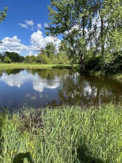 Big Flats Town Park Extension - Big Flats, NY