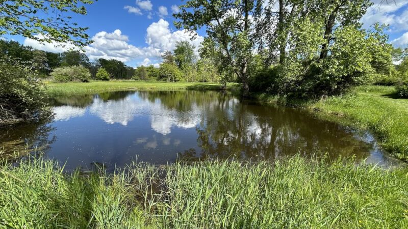 Big Flats Town Park Extension - Big Flats, NY