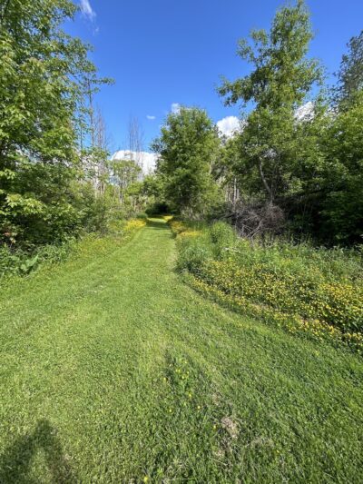 Big Flats Town Park Extension - Big Flats, NY