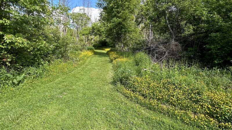 Big Flats Town Park Extension - Big Flats, NY