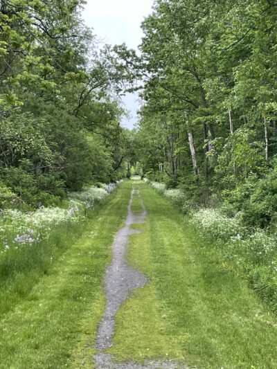Big Flats Trail - Big Flats, NY