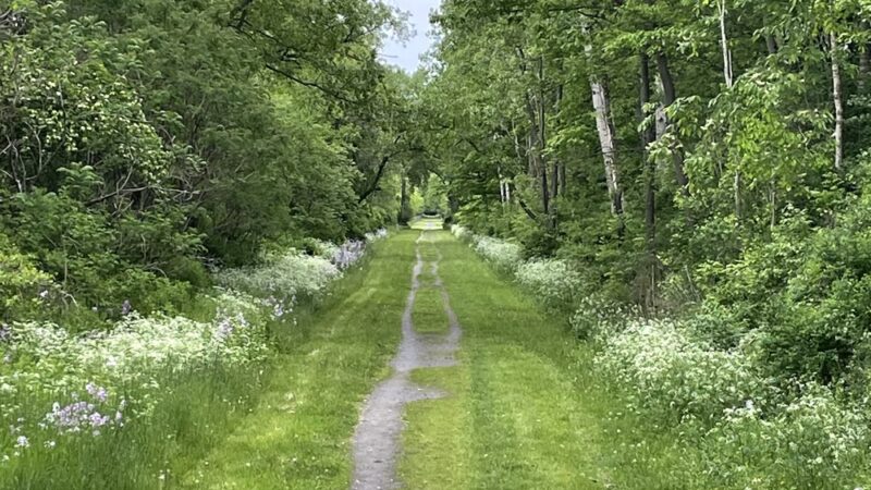 Big Flats Trail - Big Flats, NY
