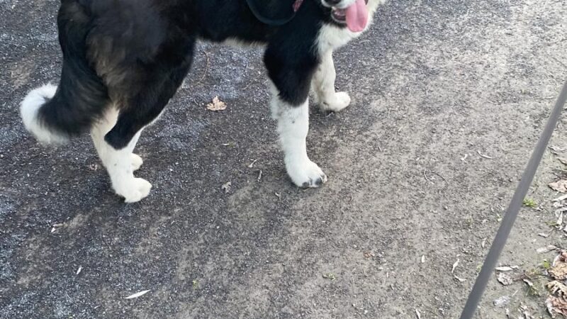 Big Flats Trail - Big Flats, NY