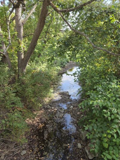 Big Flats Trail - Big Flats, NY