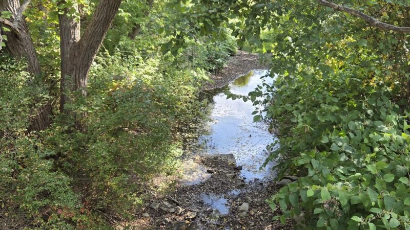 Big Flats Trail - Big Flats, NY