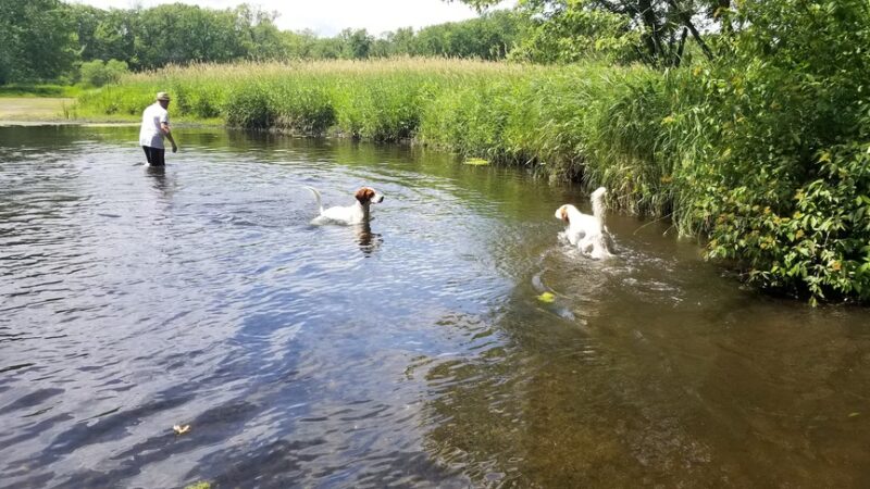 Dog Park - Big Lake, MN