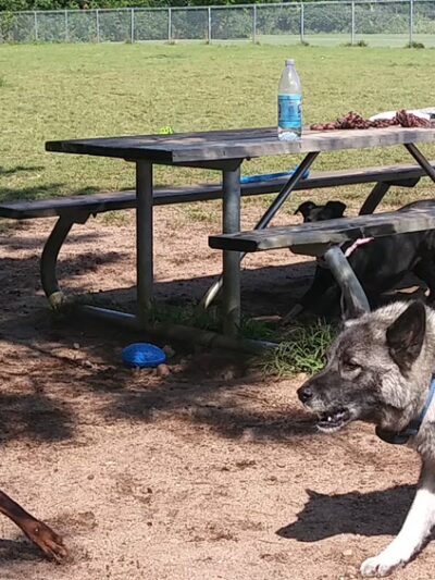 Dog Park - Big Lake, MN