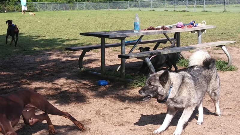 Dog Park - Big Lake, MN