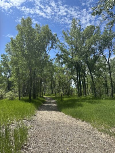 Norm Schoenthal Island - Billings, MT
