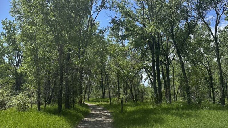 Norm Schoenthal Island - Billings, MT