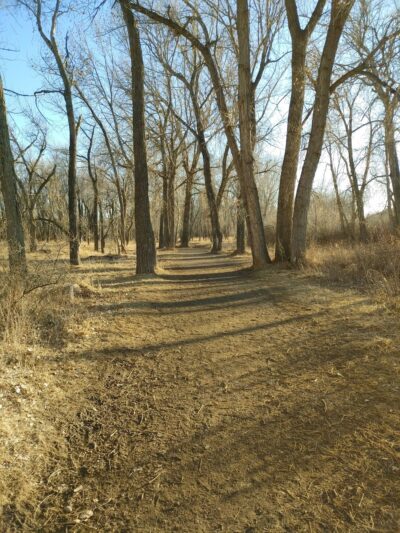 Norm Schoenthal Island - Billings, MT