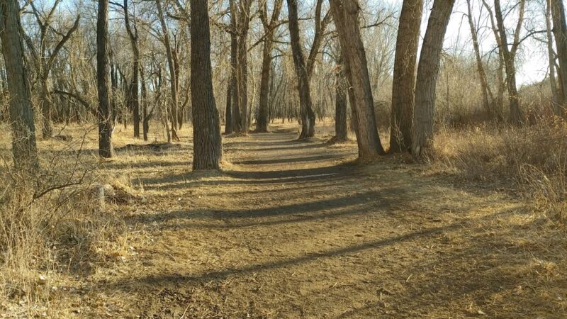 Norm Schoenthal Island - Billings, MT
