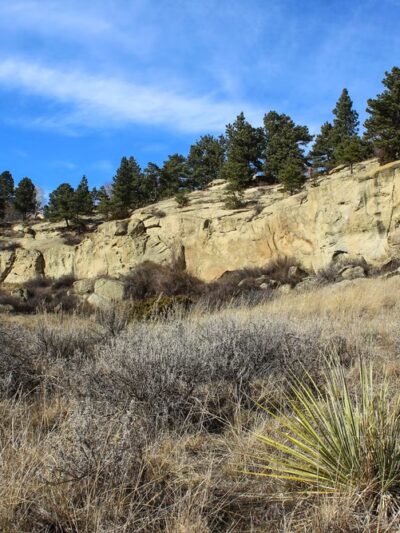 Pow Wow Park - Billings, MT