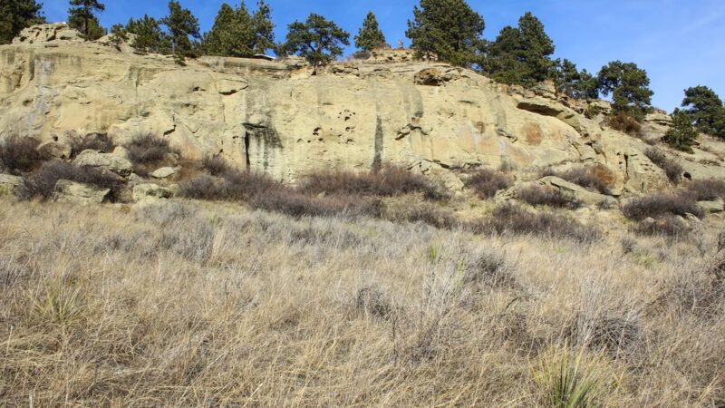 Pow Wow Park - Billings, MT