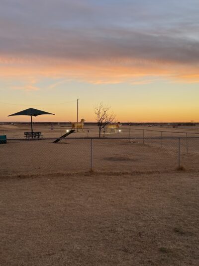 Cimarron Travel Center Dog Park - Billings, OK