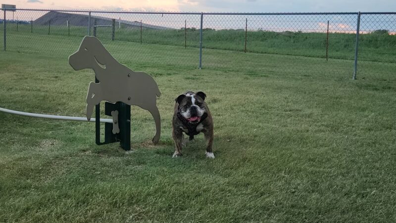 Cimarron Travel Center Dog Park - Billings, OK