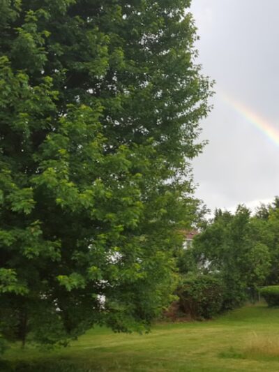 West End Park - Binghamton, NY