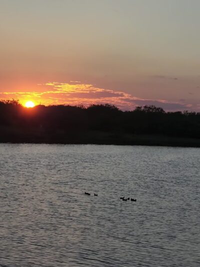 Bishop City Park - Bishop, TX