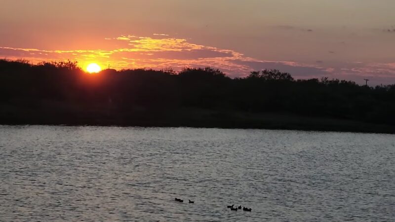 Bishop City Park - Bishop, TX