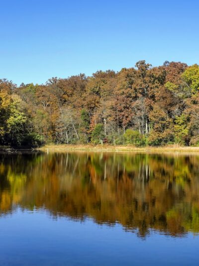 Bismarck Conservation Area carl disalso lake - Bismarck, MO