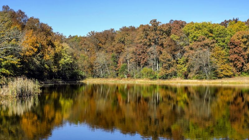 Bismarck Conservation Area carl disalso lake - Bismarck, MO