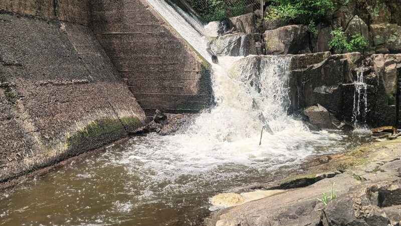 Bismarck Conservation Area carl disalso lake - Bismarck, MO