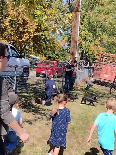 Sundale Park - Bismarck, MO