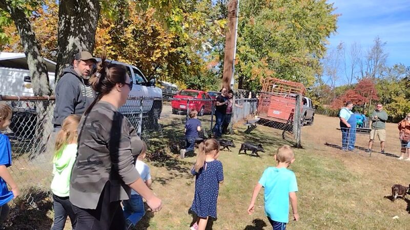 Sundale Park - Bismarck, MO