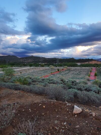 Black Canyon Greyhound Track - Black Canyon City, AZ