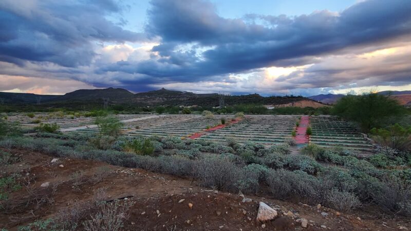Black Canyon Greyhound Track - Black Canyon City, AZ