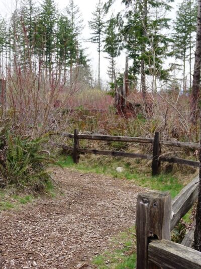 Ten Trails - Black Diamond, WA