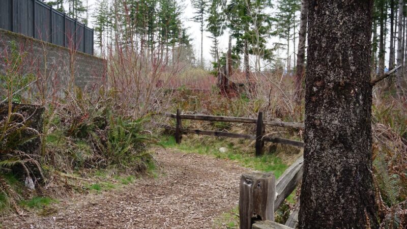 Ten Trails - Black Diamond, WA