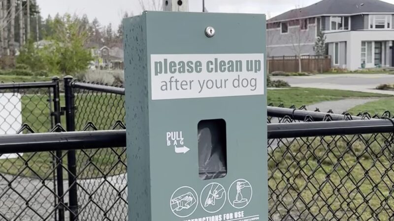 Ten Trails - Black Diamond, WA