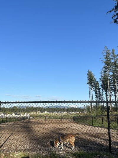 Ten Trails - Black Diamond, WA