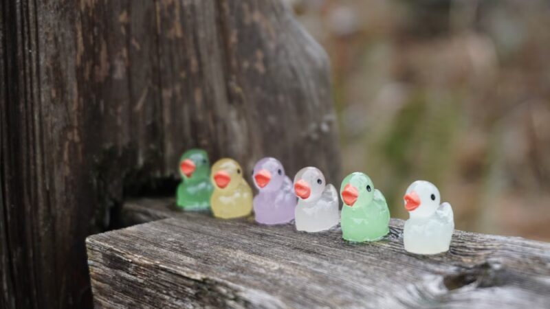 Ten Trails - Black Diamond, WA