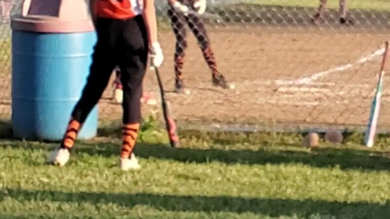 Saylor Park - Black Lick, PA