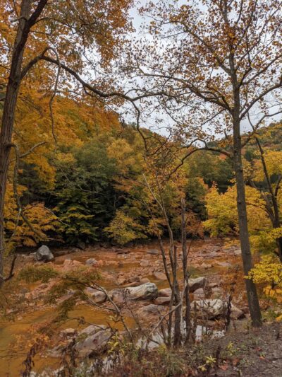 Saylor Park - Black Lick, PA