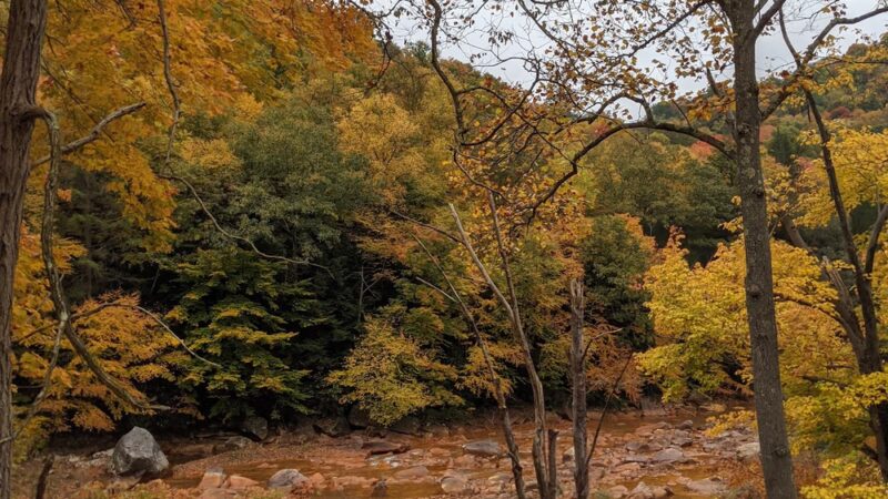 Saylor Park - Black Lick, PA