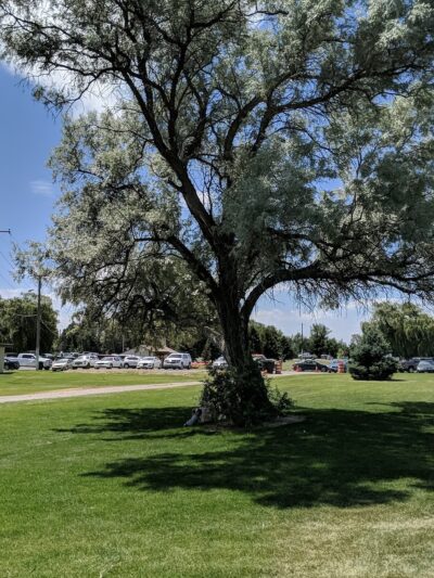 Blackfoot Parks Department - Blackfoot, ID