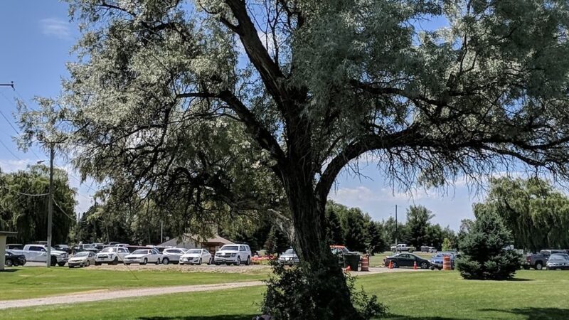 Blackfoot Parks Department - Blackfoot, ID