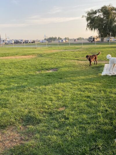 Butch Hulse Dog Park - Blackfoot, ID