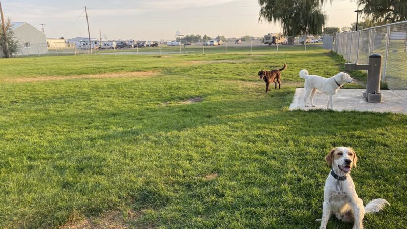Butch Hulse Dog Park - Blackfoot, ID