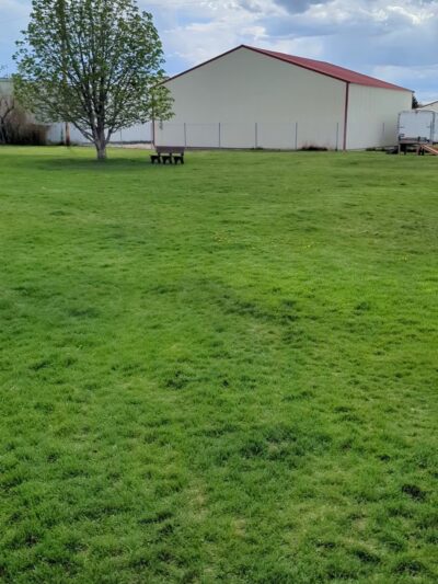 Butch Hulse Dog Park - Blackfoot, ID