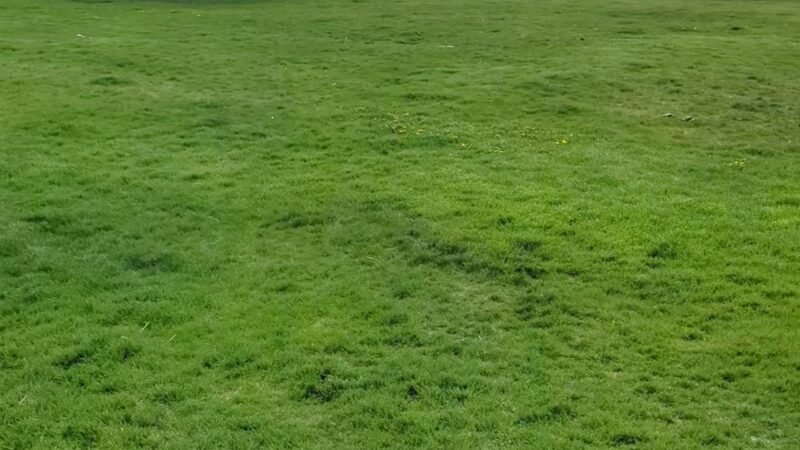 Butch Hulse Dog Park - Blackfoot, ID