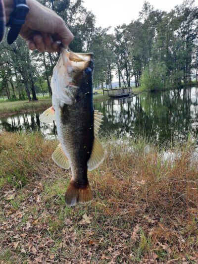 Clarence McLean Park - Bladenboro, NC