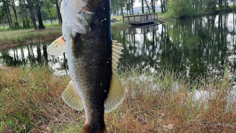 Clarence McLean Park - Bladenboro, NC