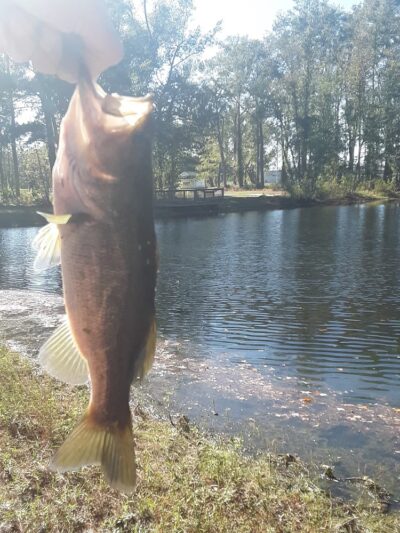 Clarence McLean Park - Bladenboro, NC