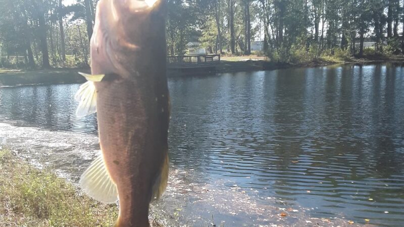 Clarence McLean Park - Bladenboro, NC