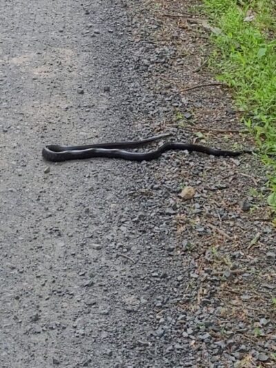 Big Spring State Park - Blain, PA