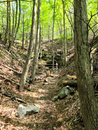 Big Spring State Park - Blain, PA